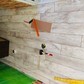 Фото покупателя