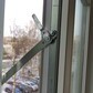 Фото покупателя