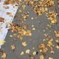 Фото покупателя
