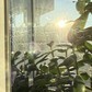 Фото покупателя