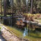 Фото покупателя