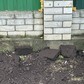 Фото покупателя
