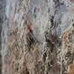 Фото покупателя