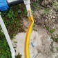 Фото покупателя