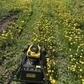 Фото покупателя