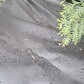 Фото покупателя