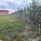 Фото покупателя