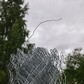 Фото покупателя