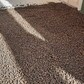 Фото покупателя