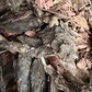 Фото покупателя
