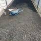 Фото покупателя
