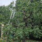 Фото покупателя