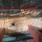 Фото покупателя