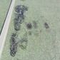 Фото покупателя