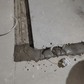 Фото покупателя