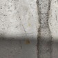 Фото покупателя