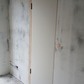 Фото покупателя